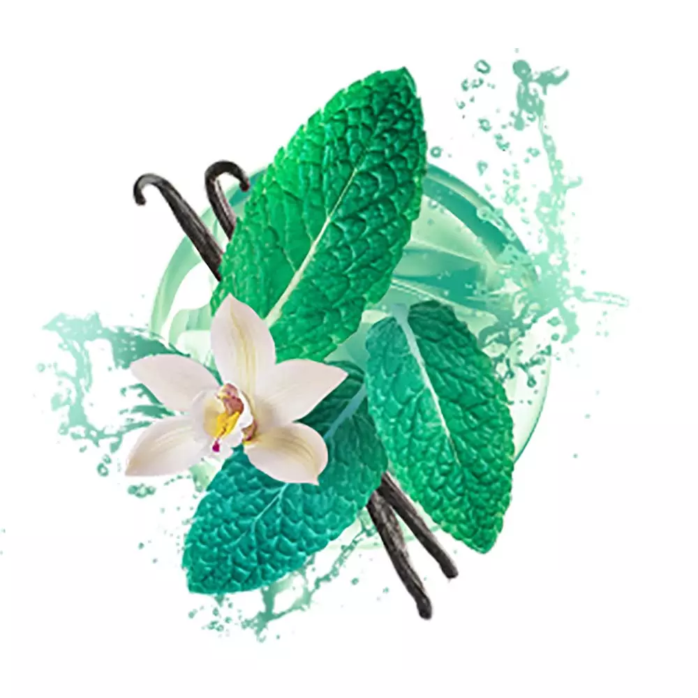 Neo Demi - Vanilla Mint (10 packs)