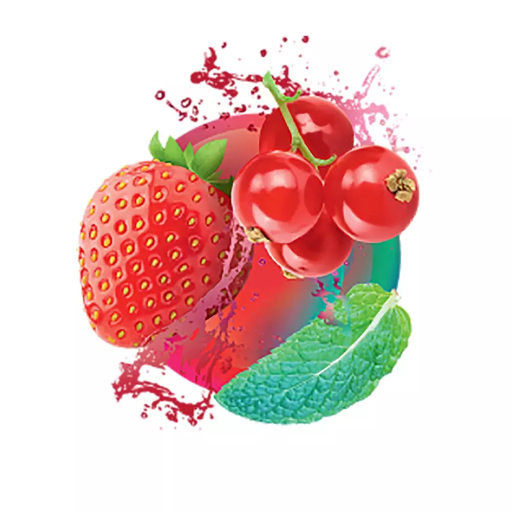 Vogue Sticks - Mint Berry Click (10 packs)